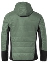 Men's Sesvenna Jacket IVagave1